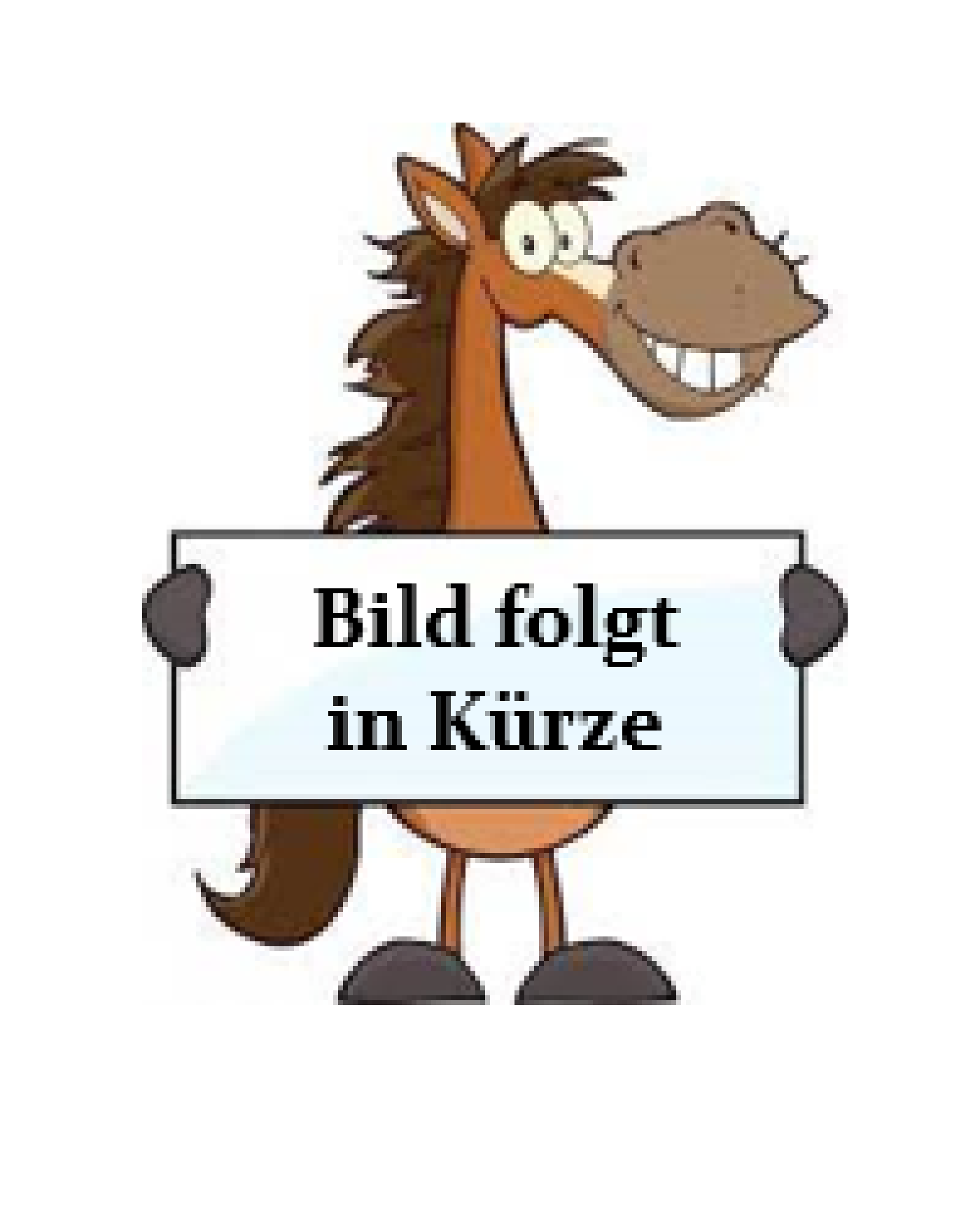 Aero Club Odenwald Michelstadt e.V.