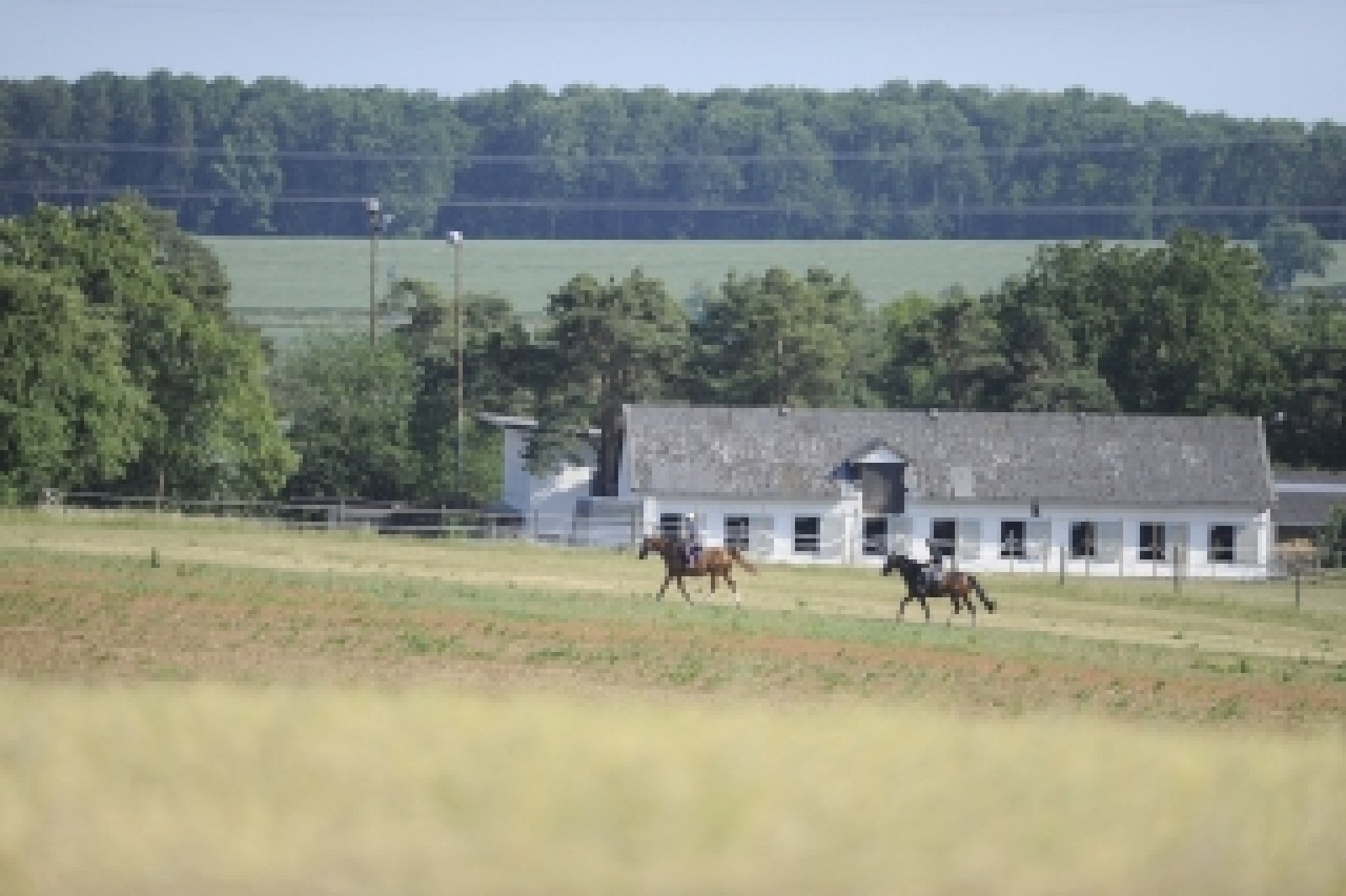 Aero Club Odenwald Michelstadt e.V.