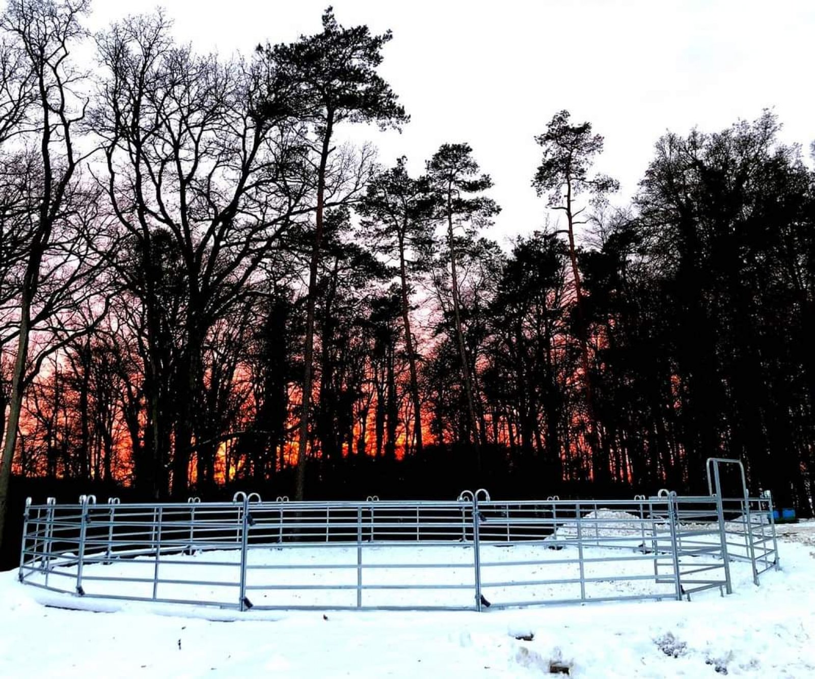 Aero Club Odenwald Michelstadt e.V.