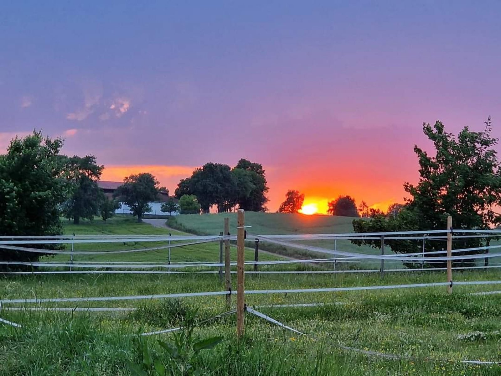 Aero Club Odenwald Michelstadt e.V.