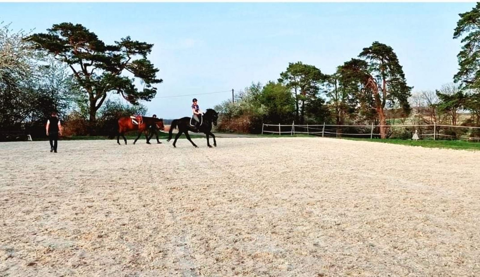 Aero Club Odenwald Michelstadt e.V.